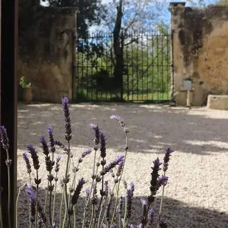 Bastide Juliana * Saint-Paul-Trois-Châteaux