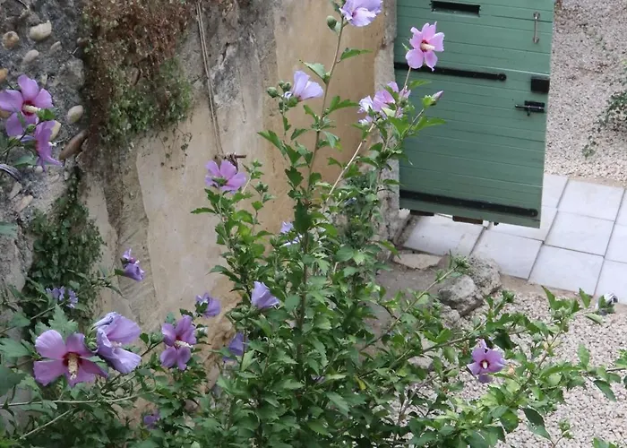 Holiday home Bastide Juliana Saint-Paul-Trois-Chateaux