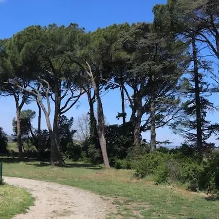Bastide Juliana Holiday home Saint-Paul-Trois-Chateaux