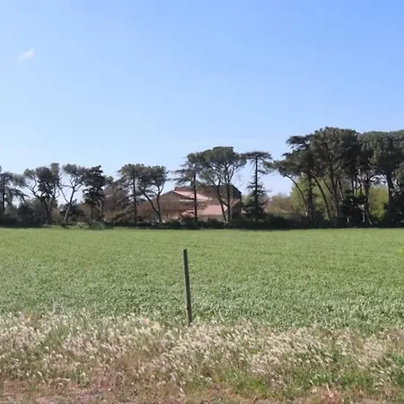 Bastide Juliana Holiday home *