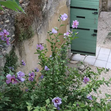 Holiday home Bastide Juliana Saint-Paul-Trois-Chateaux